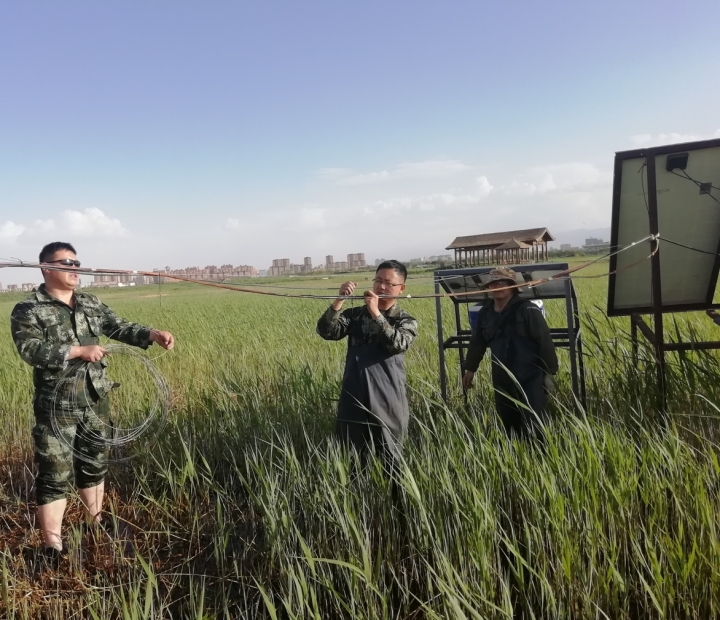 D:\桌面\巡检报告\微信图片_20200602124734111.jpg微信图片_20200602124734111